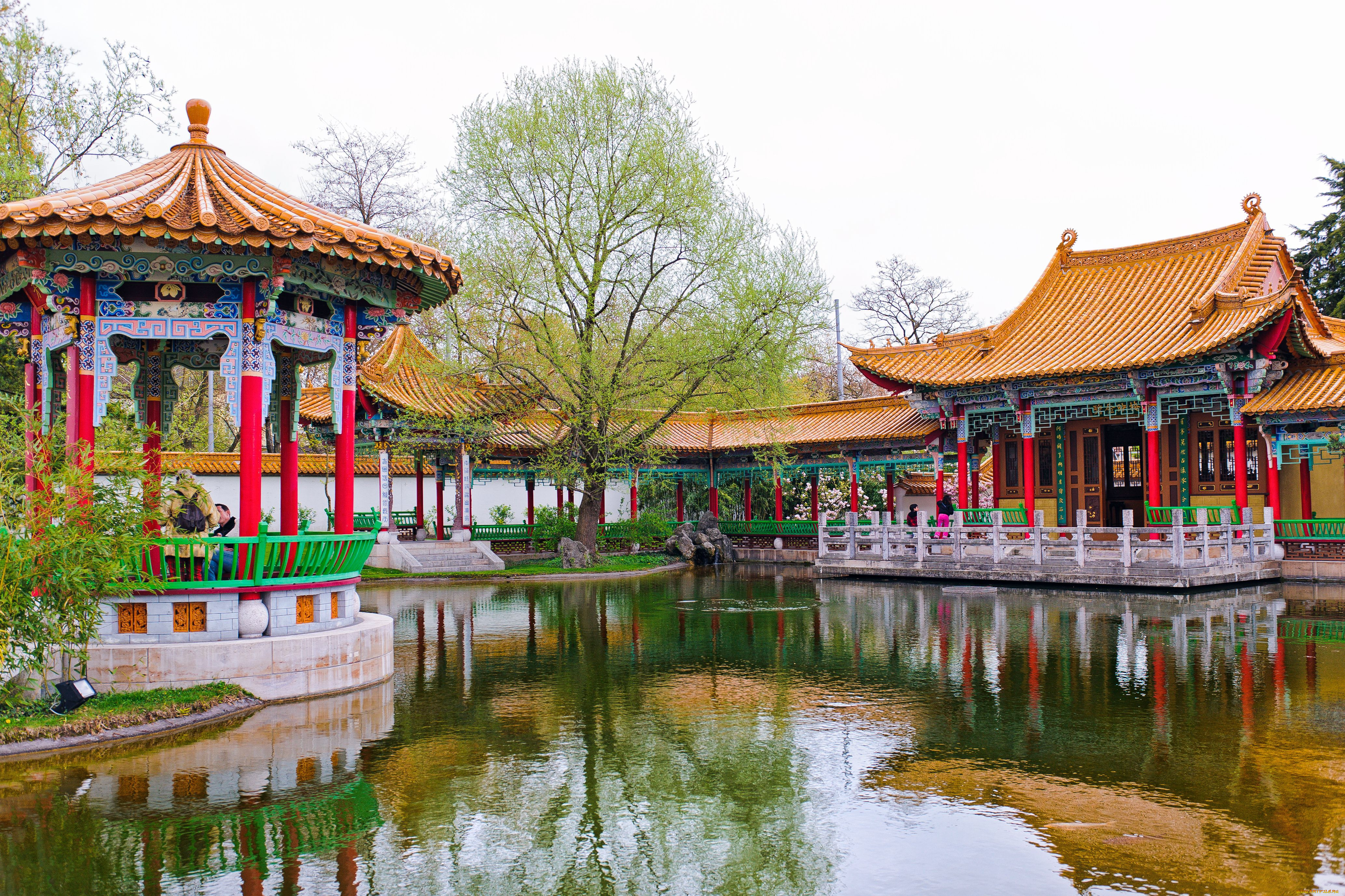 , , zurich, switzerland, , , chinese, garden, , , 